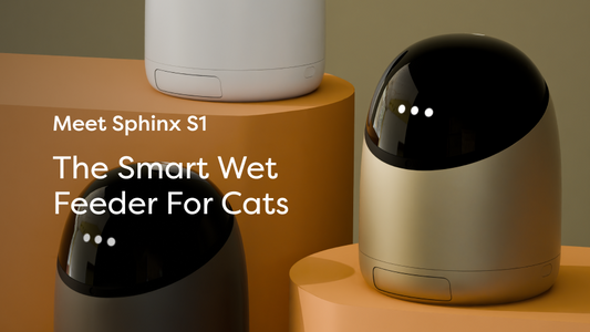 Sphinx Cat Feeder Shatters Kickstarter Records, Partners with Rayne Nutrition & Savage Cat Food