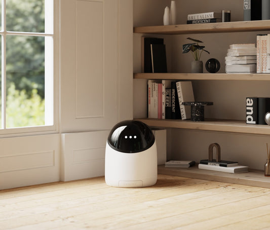 Preorder Sphinx S1 Cat Feeder